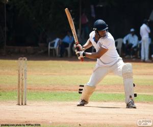 yapboz Kriket oyuncusu topa vurmak için hazır